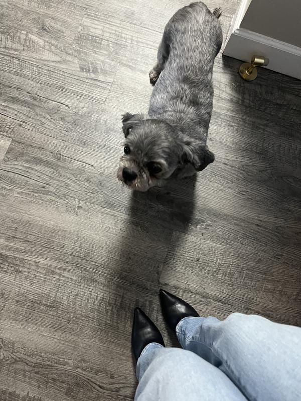 Review Thumbnail Image 0 236363366