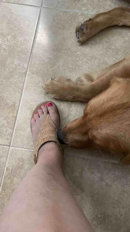 Review Thumbnail Image 0 234101167