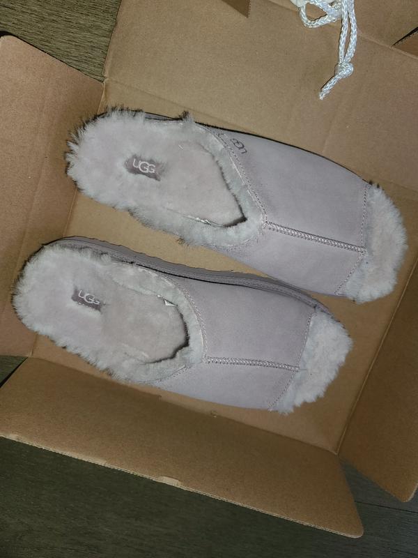 Review Thumbnail Image 0 247834341