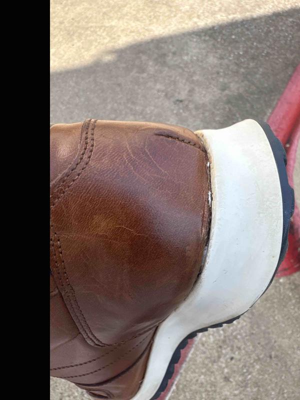 Review Thumbnail Image 2 243805152