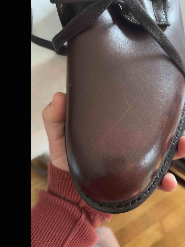 Review Thumbnail Image 1 238210660