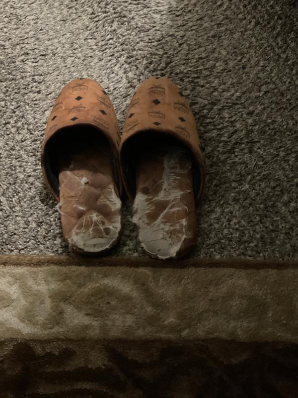 Review Thumbnail Image 0 234104092