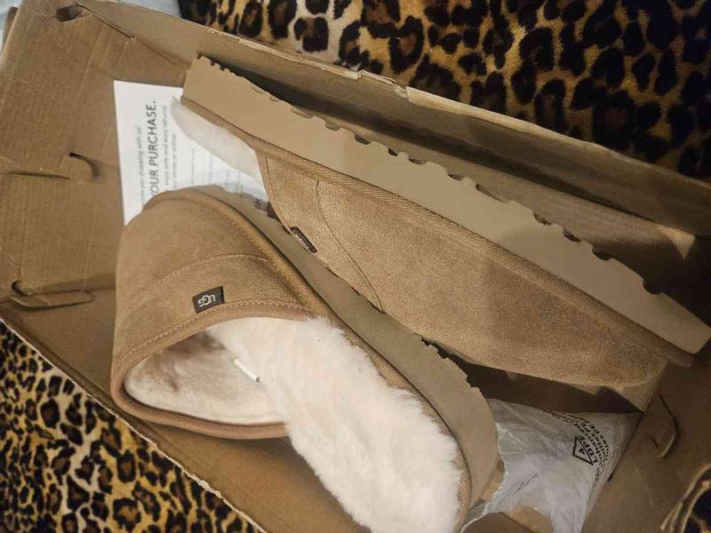 Review Thumbnail Image 0 237972203