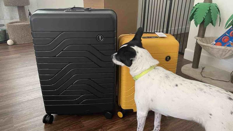 Review Thumbnail Image 1 232793865