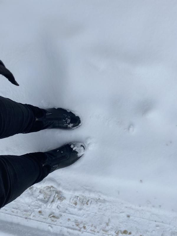 Review Thumbnail Image 0 246477830