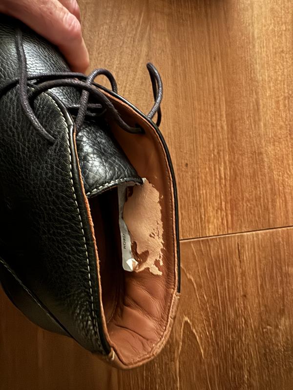 Review Thumbnail Image 0 237653118