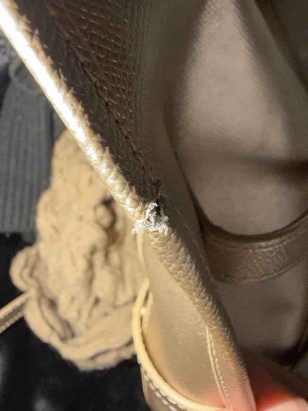 Review Thumbnail Image 2 246460670