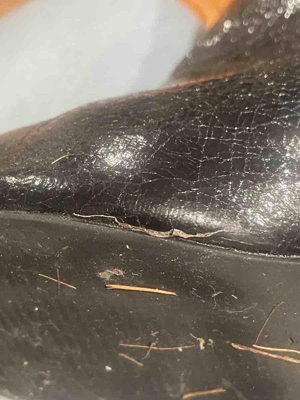 Review Thumbnail Image 1 239774178