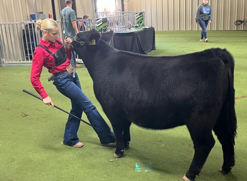 Review Thumbnail Image 1 237314435