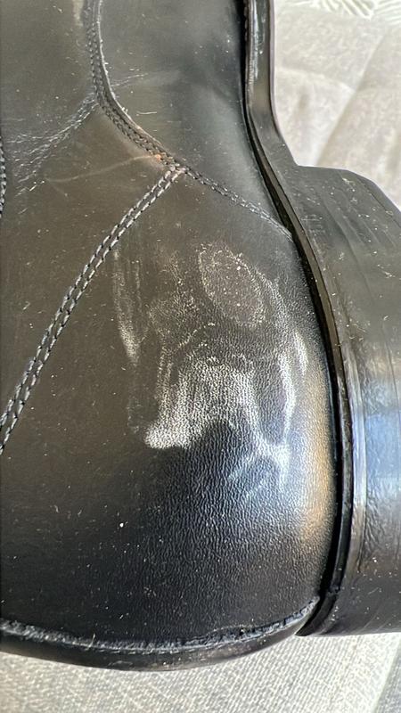 Review Thumbnail Image 3 240062537