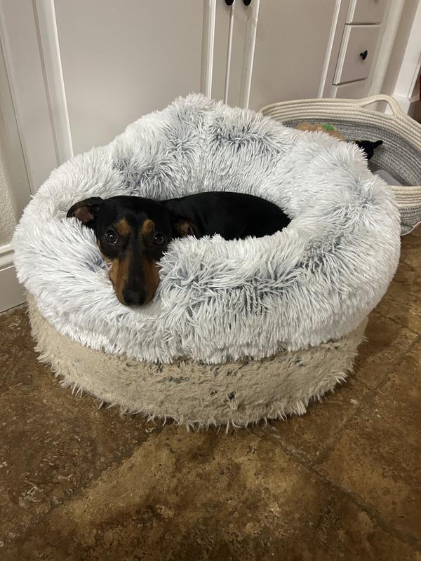 Review Thumbnail Image 0 238984308