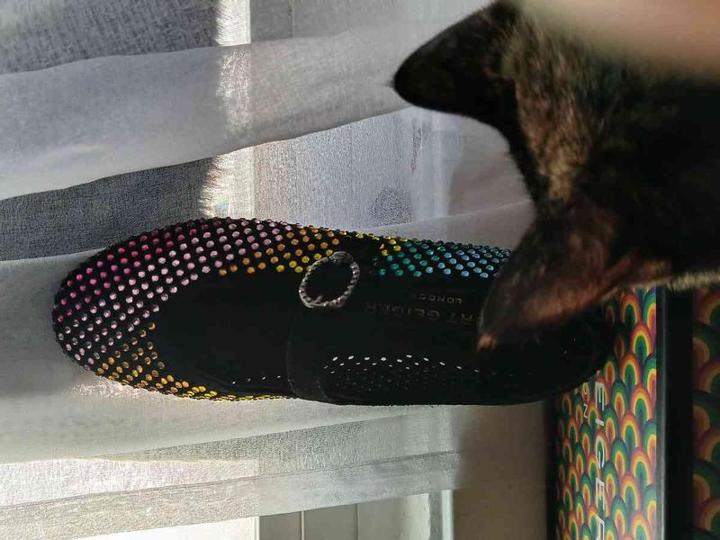 Review Thumbnail Image 2 243759799