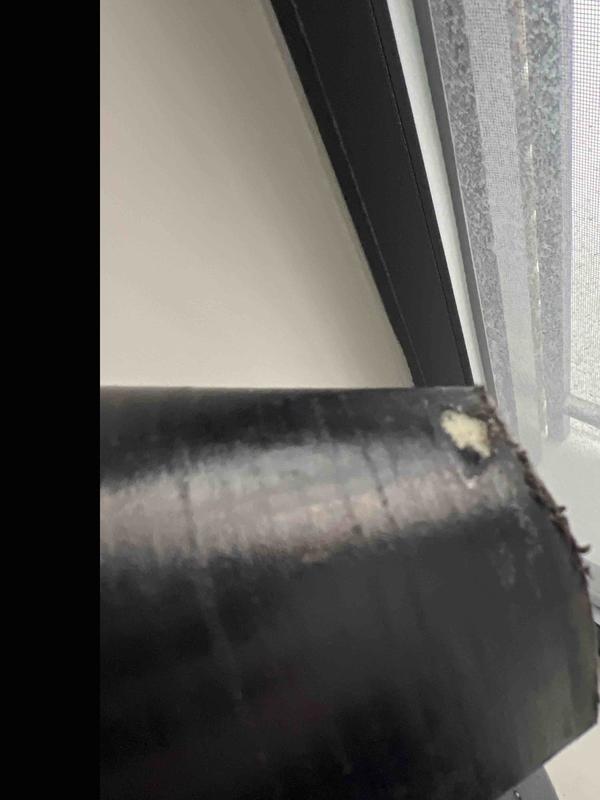 Review Thumbnail Image 0 247710112