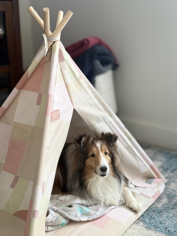 Review Thumbnail Image 0 240639671