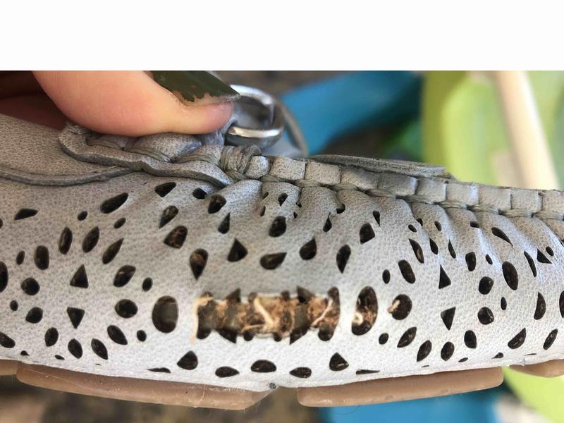 Review Thumbnail Image 0 224344988