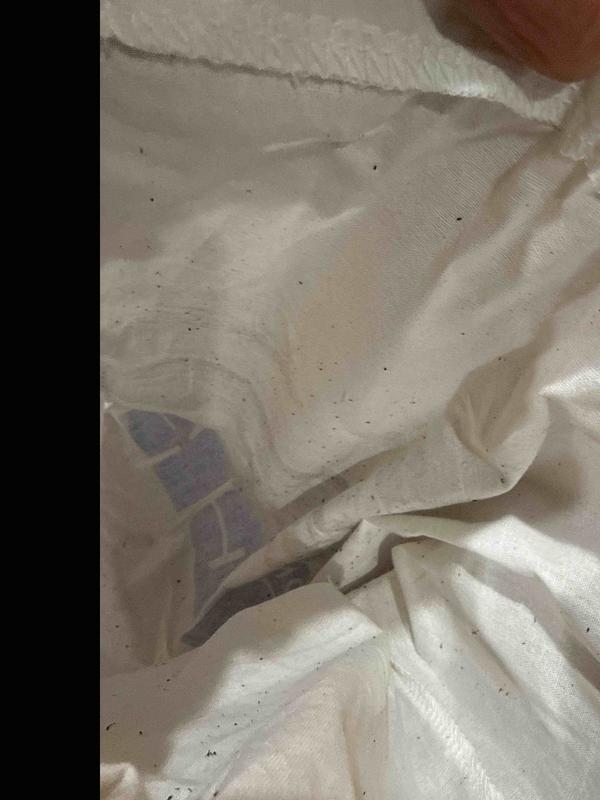 Review Thumbnail Image 4 247606177