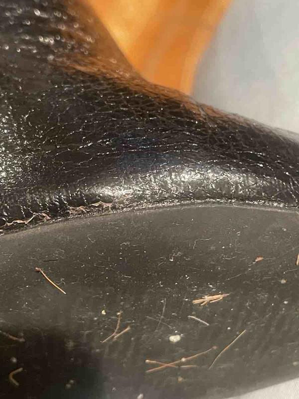 Review Thumbnail Image 0 239774178