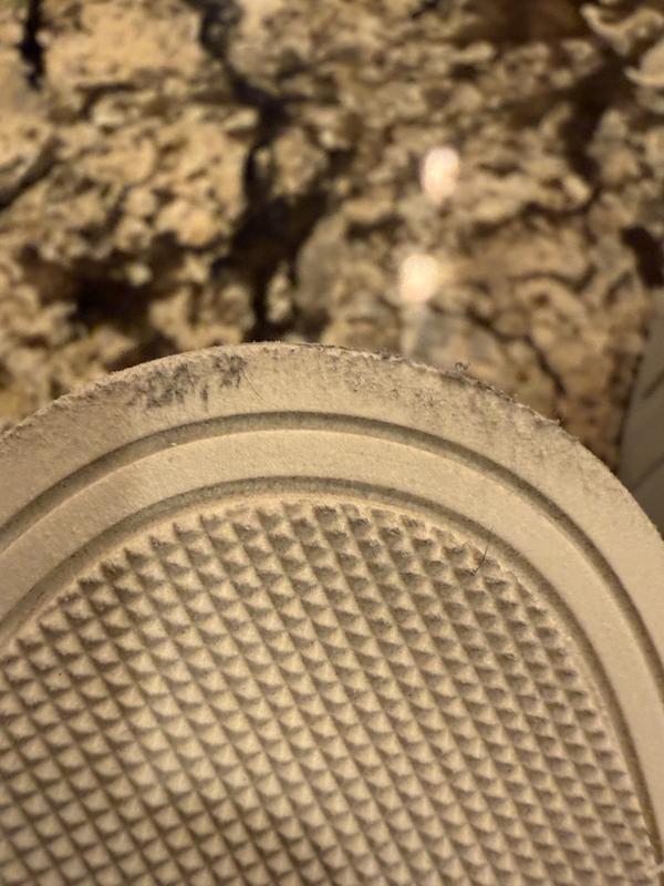 Review Thumbnail Image 1 246302246