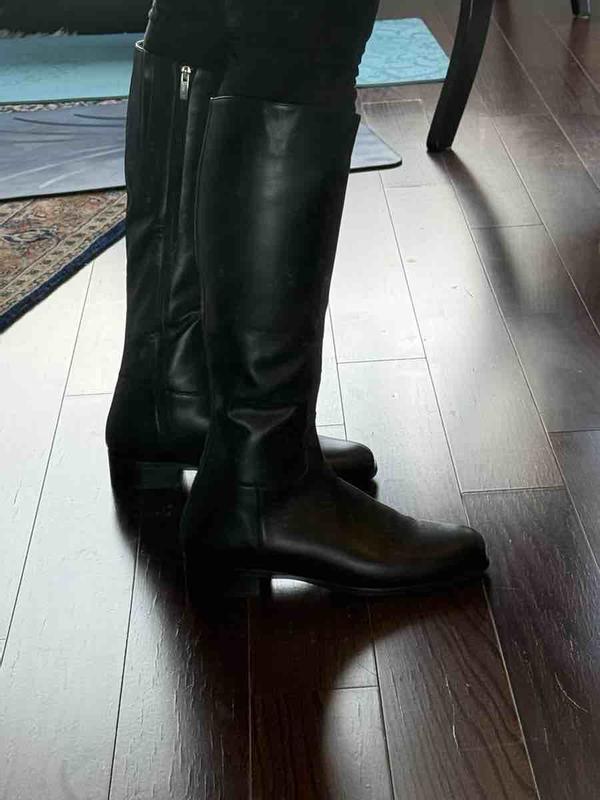 Review Thumbnail Image 0 246065581