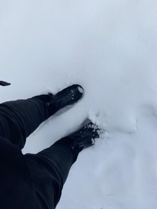 Review Thumbnail Image 1 246477830