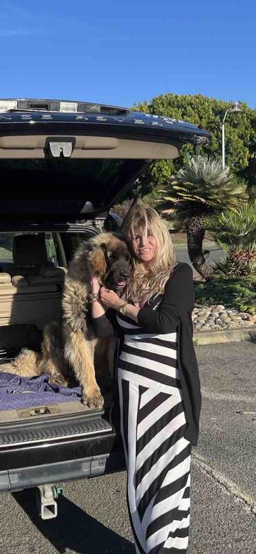 Review Thumbnail Image 0 234817272