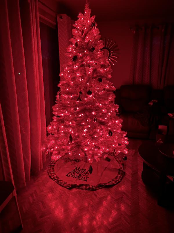 Review Thumbnail Image 0 221559525