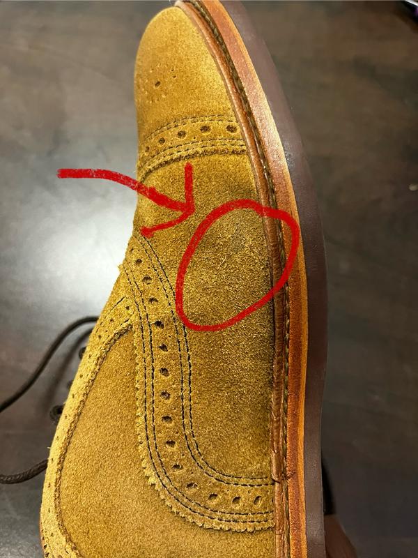 Review Thumbnail Image 0 244882054