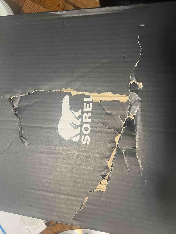 Review Thumbnail Image 2 240530403