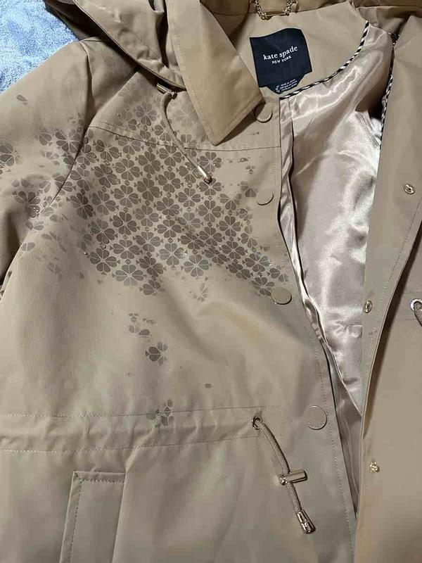 Review Thumbnail Image 0 249230006