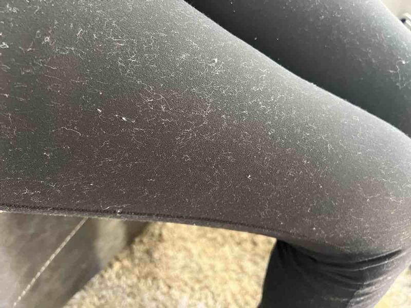 Review Thumbnail Image 0 238965806