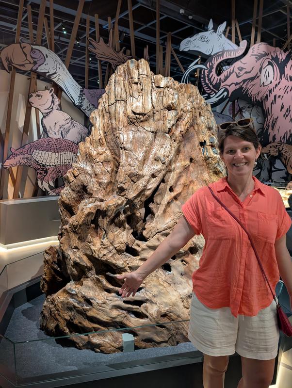 Review Thumbnail Image 0 243354648