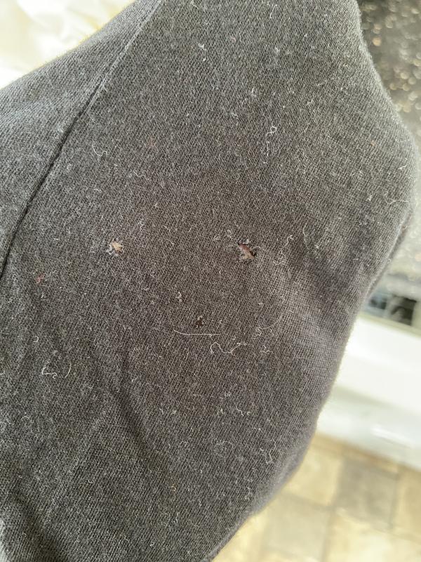 Review Thumbnail Image 0 236208892