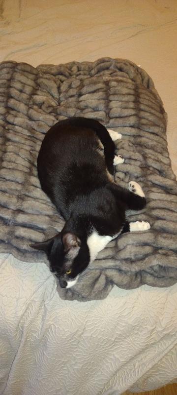 Review Thumbnail Image 0 238748164