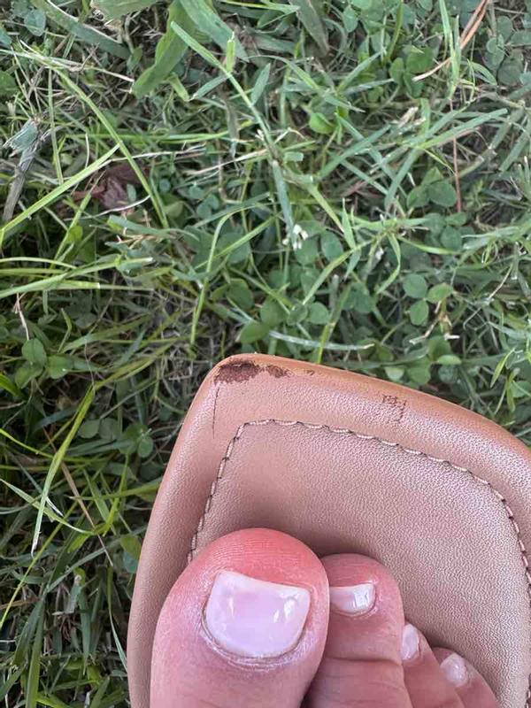 Review Thumbnail Image 0 243249648