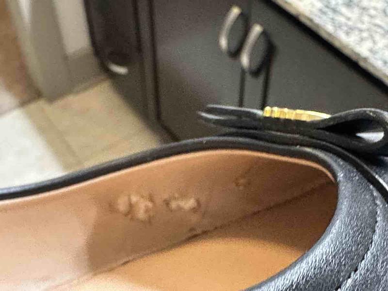 Review Thumbnail Image 1 242621088