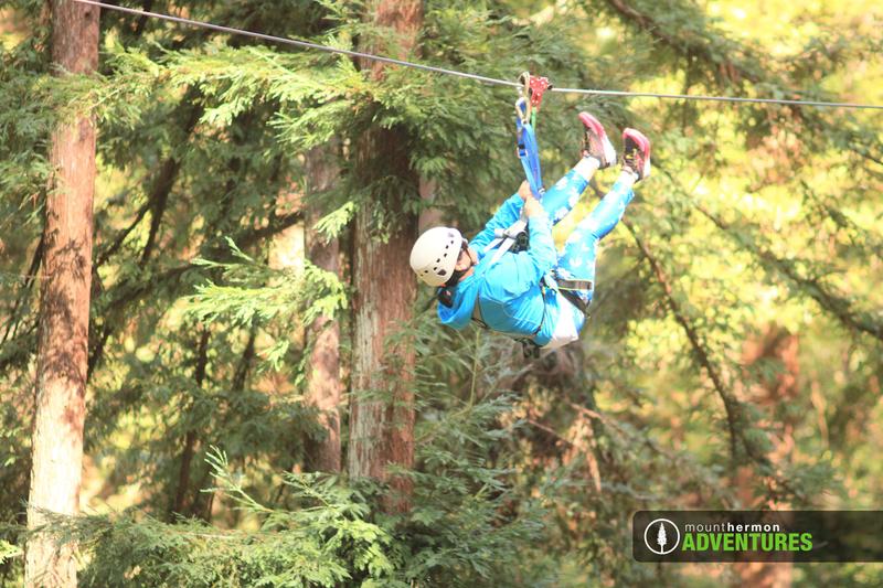 Review Thumbnail Image 1 240735265