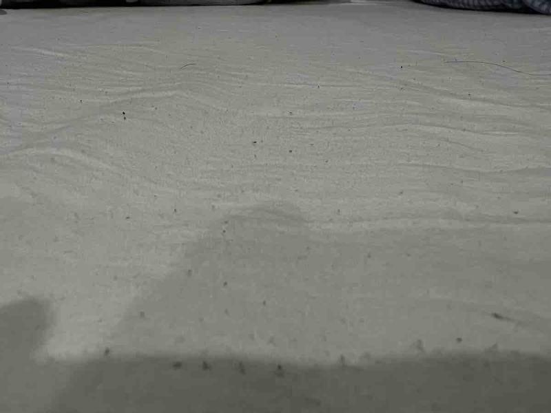 Review Thumbnail Image 0 217501341