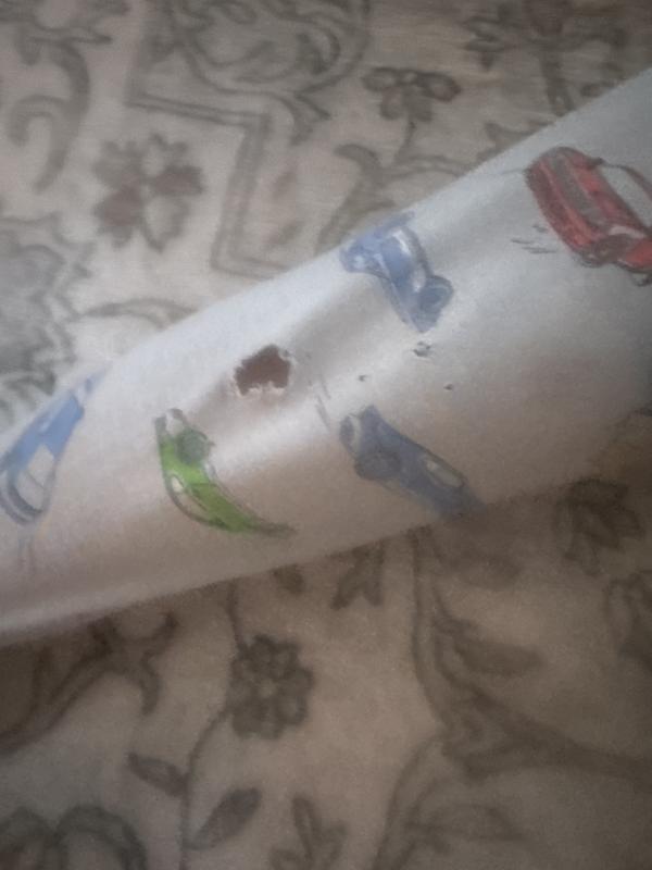 Review Thumbnail Image 0 248946184