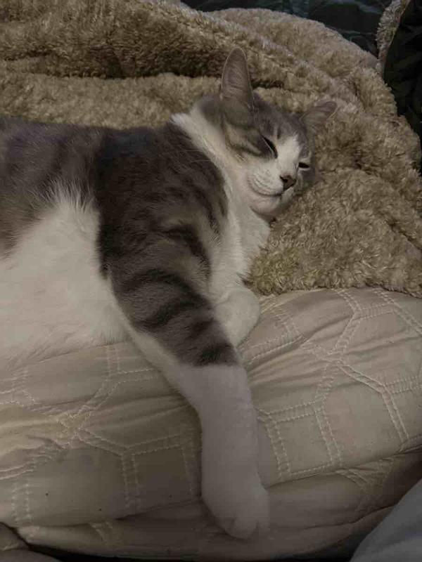 Review Thumbnail Image 0 244369300