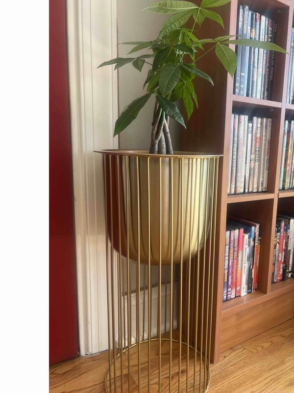 Review Thumbnail Image 1 223829452