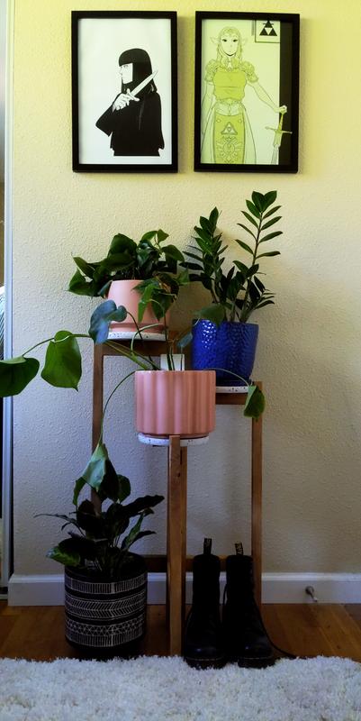 Review Thumbnail Image 0 199043998