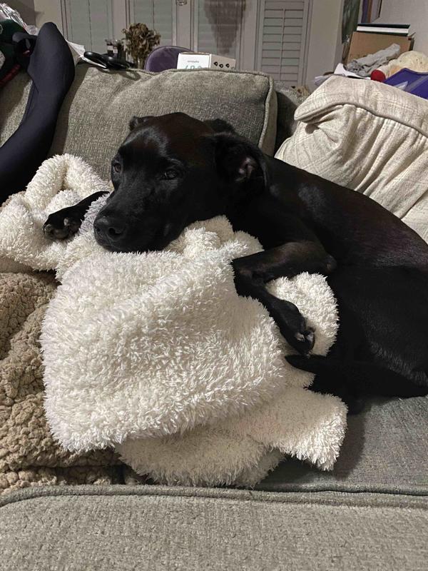 Review Thumbnail Image 0 209319670