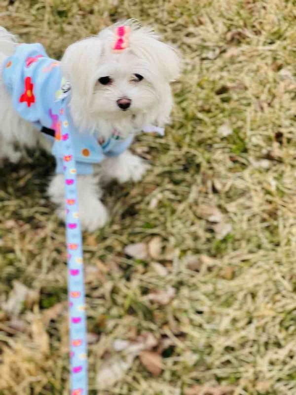 Review Thumbnail Image 0 223462078