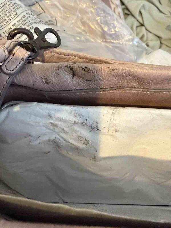 Review Thumbnail Image 0 249546140