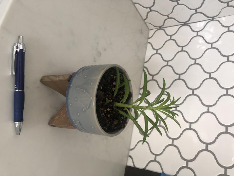 Review Thumbnail Image 0 201034040