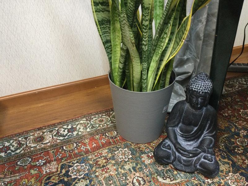 Review Thumbnail Image 0 202431844