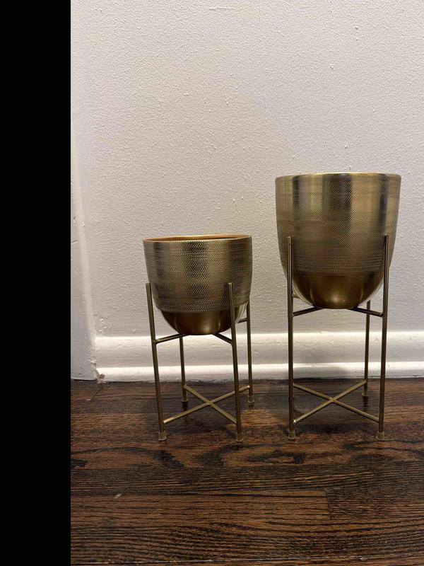 Review Thumbnail Image 0 245869581