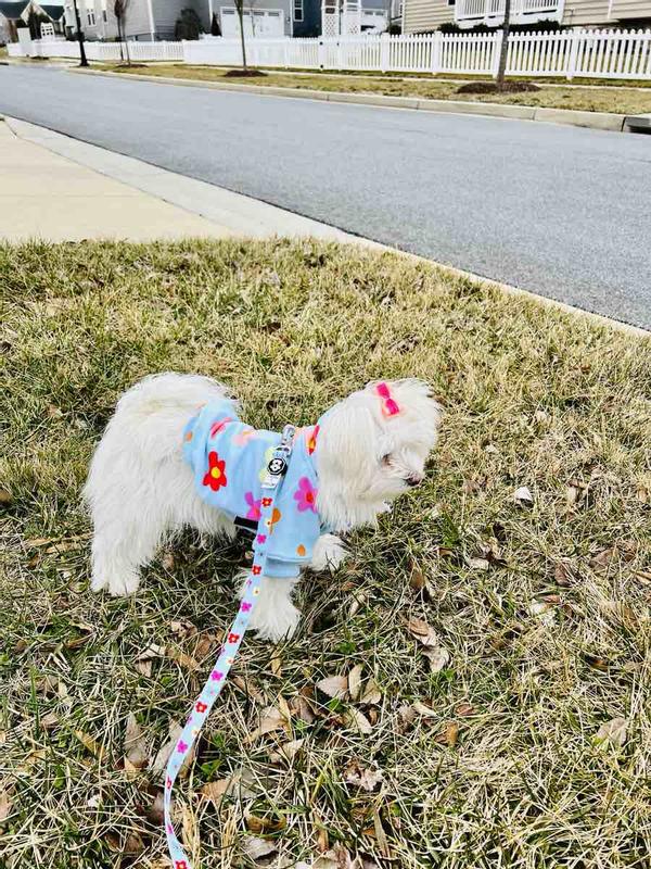 Review Thumbnail Image 1 223462078