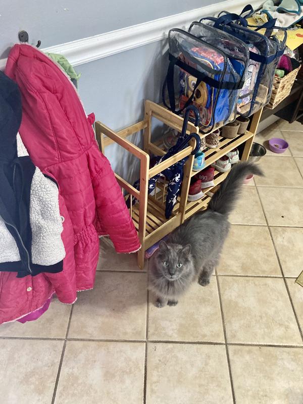 Review Thumbnail Image 2 204090249