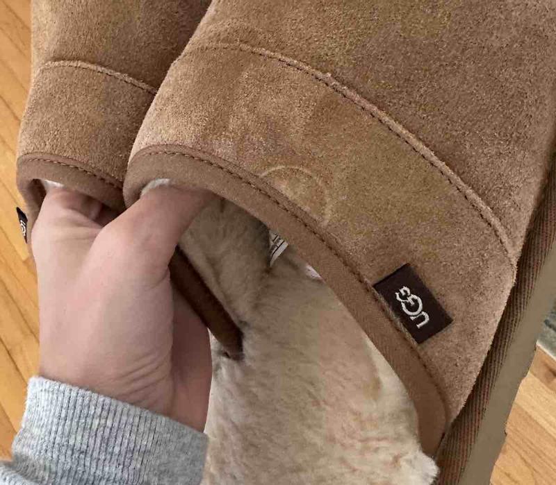 Review Thumbnail Image 0 238413397